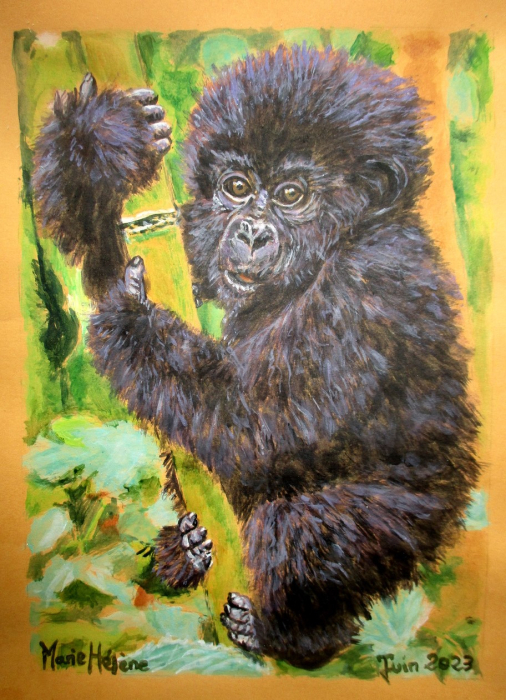Bébé gorille